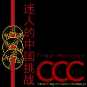 Charming Chinese Challenge by Troy Hooser 
