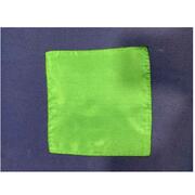 Foulard 20x20 Sitta Magic Silk VERDE